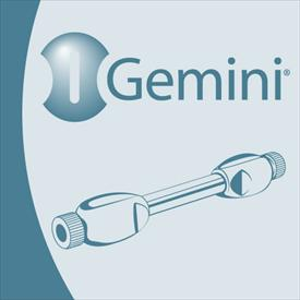 Gemini ˫������ɫ����