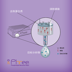 Phree ����֬��